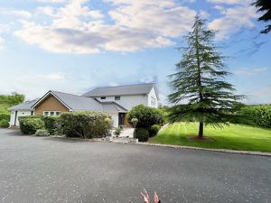 Front- click for photo gallery